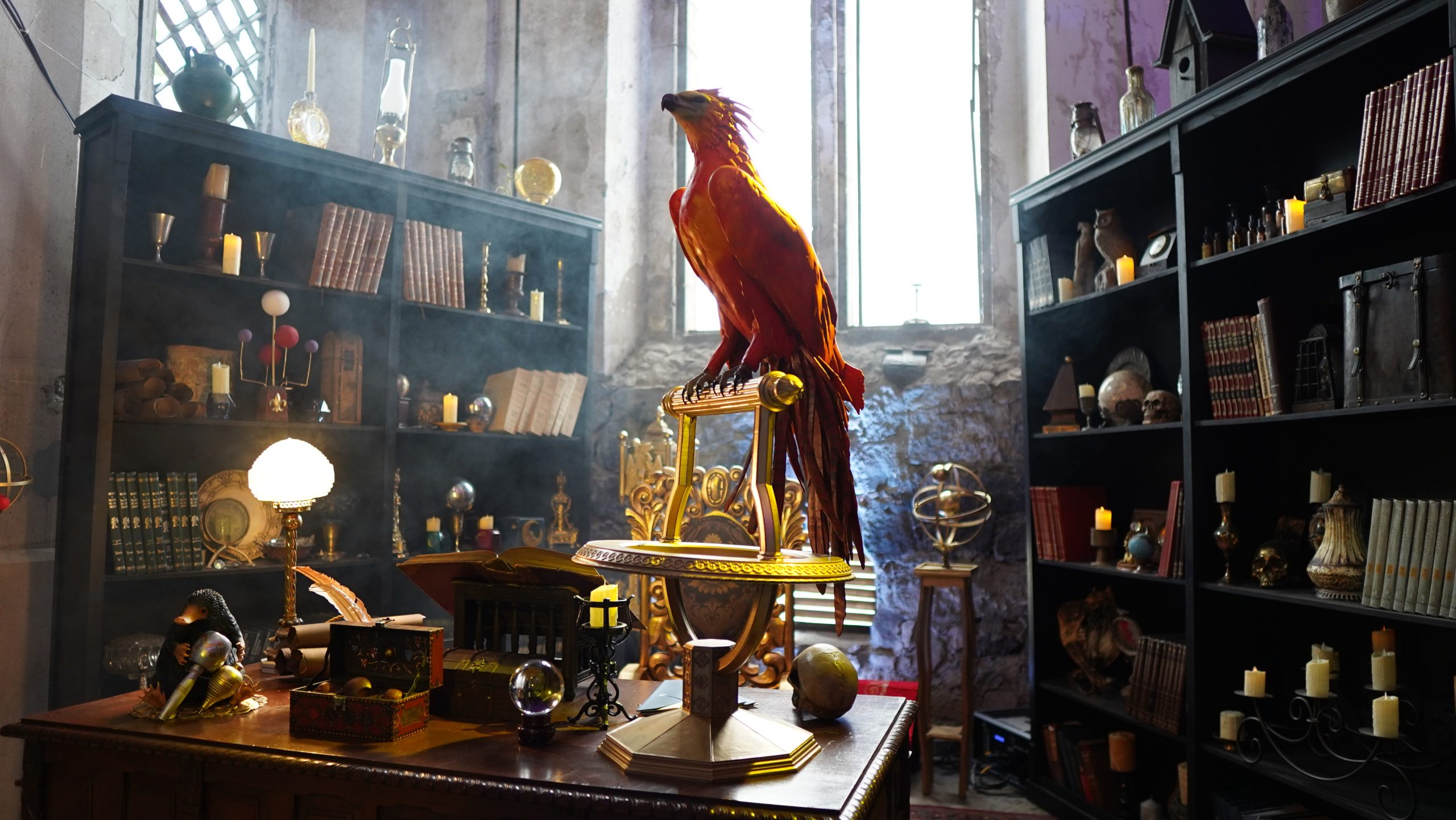 Vive el mundo mágico de animales fantásticos en la experiencia que HBO Max dispuso para sus fans