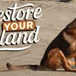 Revisión: Restore Your Island – Simulador acogedor de restauración ecológica con compañero canino